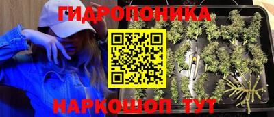 кокс Будённовск