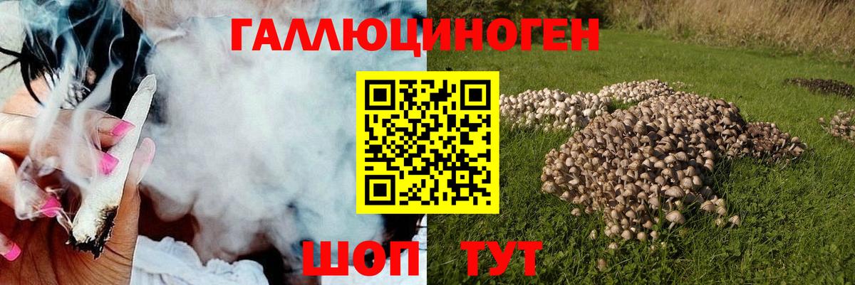 Псилоцибиновые грибы MAGIC MUSHROOMS Мирный