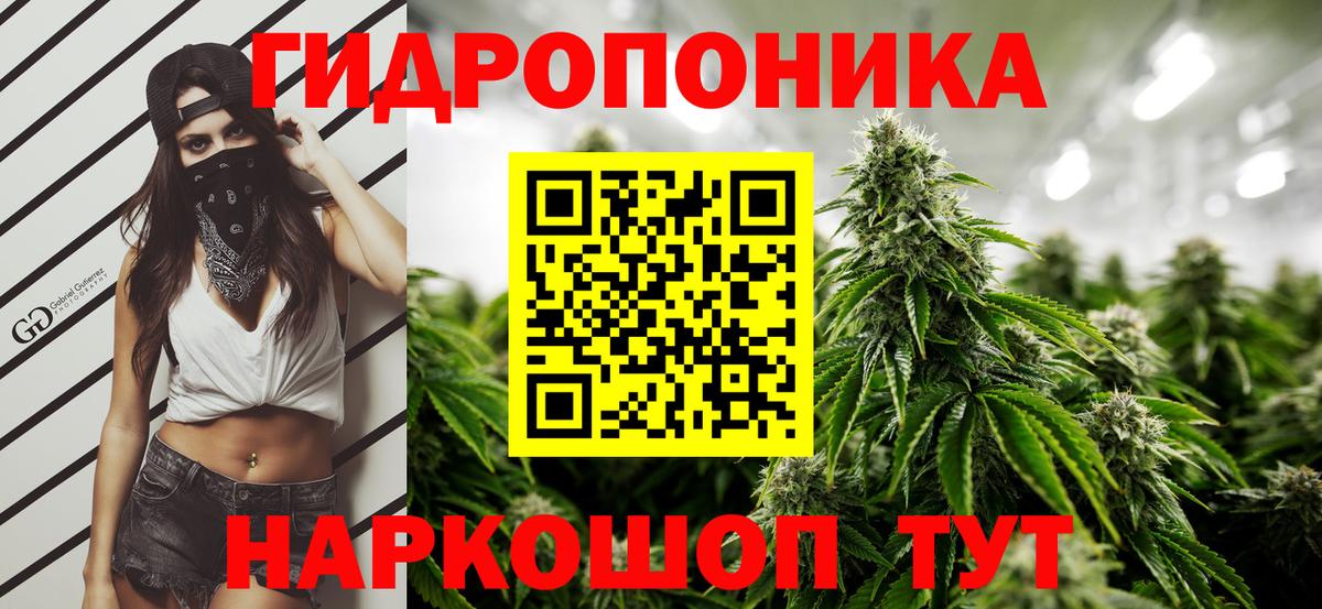 Канабис SATIVA & INDICA  Каннабис сатива  Каннабис Ganja  Вход с VPN  Мирный 